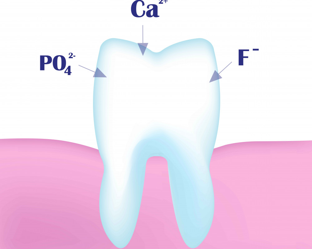 Schematische Darstellung: Remineralisation eines Zahns