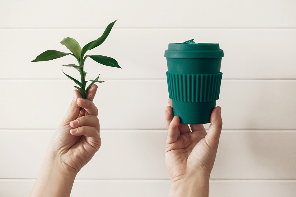 Hand hält einen Coffee-to-go-Becher und ein grünes Bambusblatt
