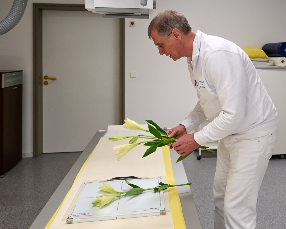 Dr. Julian Köpken bringt die Blumen für das digitale Röntgen in Position.