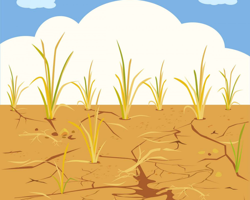 Comic: trockene Wüste