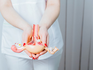Etwa sechs Prozent der Frauen, die sich einer Unfruchtbarkeitsbehandlung unterziehen, haben eine Funktionsstörung der Gebärmutter (Symbolbild). Ihnen könnte die neue Methode helfen.