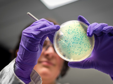 Mikrobiologin mit Bakterienkultur