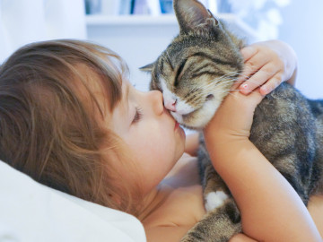Kleinkind küsst Katze