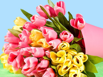Strauß Tulpen in Vase